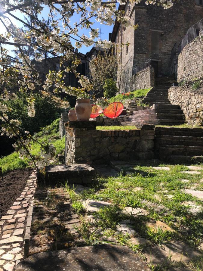 Lemon Tree Boutique Guest House Todi Dış mekan fotoğraf